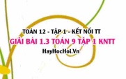 Bài 1.3 Toán 12 tập 1 SGK Kết nối tri thức